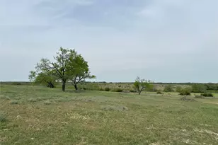 Unk Cr 330, Bertram, TX 78605 - Photo 8