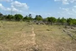 143 Spring Hollow Trail, Smithville, TX 78957 - Photo 20