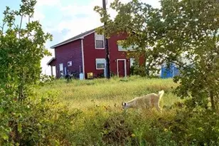 143 Spring Hollow Trail, Smithville, TX 78957 - Photo 24