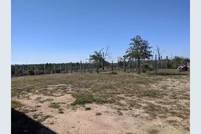 143 Spring Hollow Trail, Smithville, TX 78957 - Photo 14