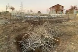 143 Spring Hollow Trail, Smithville, TX 78957 - Photo 22