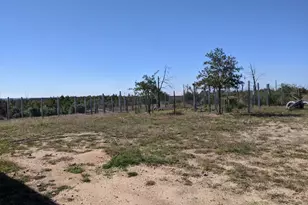 143 Spring Hollow Trail, Smithville, TX 78957 - Photo 36