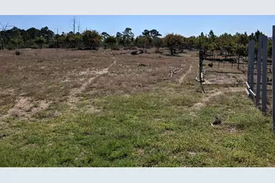 143 Spring Hollow Trail, Smithville, TX 78957 - Photo 38