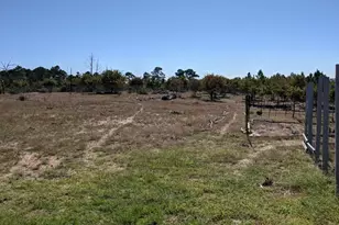 143 Spring Hollow Trail, Smithville, TX 78957 - Photo 38