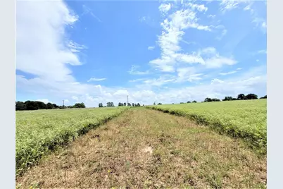 1450 Cattlemens Row #Tract 3, Lockhart, TX 78644 - Photo 4