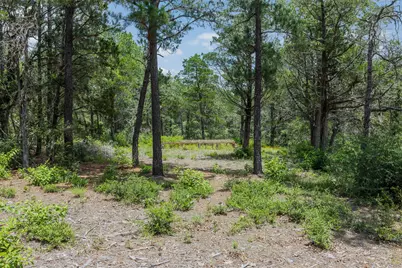 Tbd Tract 3B Rabel Rd, Rosanky, TX 78953 - Photo 6