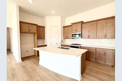 205 Rock Daisy Road, Hutto, TX 78634 - Photo 2