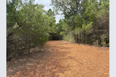 Tbd Pr 3428 (2.528 Acres in Lin Luce Ranches #2), Milano, TX 76556 - Photo 6