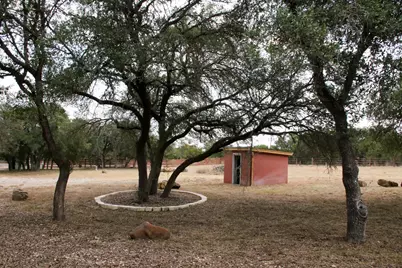 18001 Fm 150 W, Driftwood, TX 78619 - Photo 16