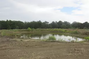 353 Littig Rd, Elgin, TX 78621 - Photo 24