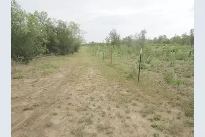 353 Littig Road, Elgin, TX 78621 - Photo 36