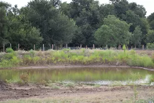 353 Littig Rd, Elgin, TX 78621 - Photo 26