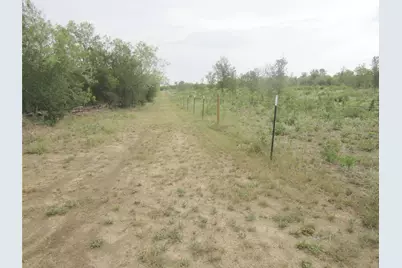 353 Littig Road, Elgin, TX 78621 - Photo 36