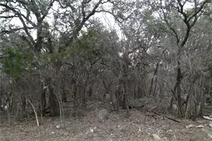 000 Magnolia Ln, Cottonwood Shores, TX 78657 - Photo 4