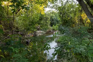[Address not provided], Round Rock, TX 78681 - Photo 12
