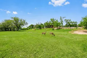 17101 Feather Rock Trail, Austin, TX 78734 - Photo 6