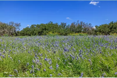429 Spanish Oak Trail, Harper, TX 78631 - Photo 34