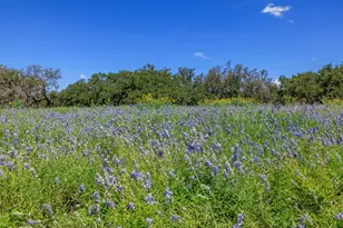 429 Spanish Oak Trail, Harper, TX 78631 - Photo 34