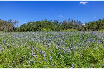 429 Spanish Oak Trail, Harper, TX 78631 - Photo 34