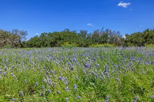 429 Spanish Oak Trail, Harper, TX 78631 - Photo 34