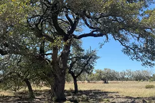 000 Barton Bend Lot 7 & Lot 6 Bend, Dripping Springs, TX 78620 - Photo 1