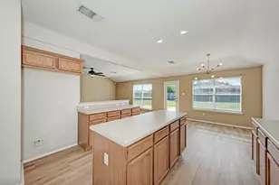 1203 Tricia Cove, Hutto, TX 78634 - Photo 14