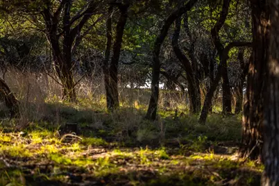 1260 County Road 2001, Lampasas, TX 76550 - Photo 16