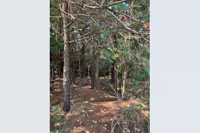 131 Nakalele Lane, Bastrop, TX 78602 - Photo 14