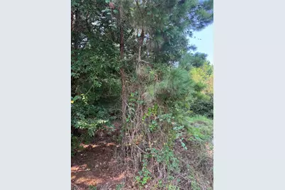 131 Nakalele Lane, Bastrop, TX 78602 - Photo 10