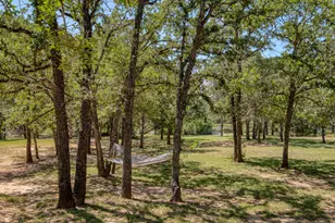 229 Green Mountain Dr, Cedar Creek, TX 78612 - Photo 30