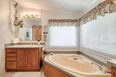 229 Green Mountain Drive, Cedar Creek, TX 78612 - Photo 18