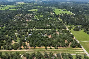 247 Pine Valley Loop, Smithville, TX 78957 - Photo 6