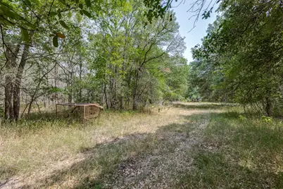 9557 Fm 86, Lockhart, TX 78644 - Photo 12