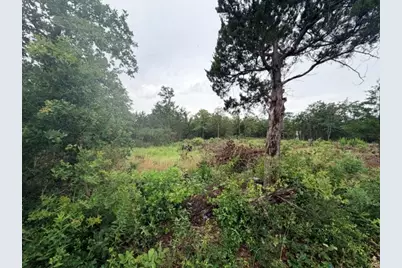 000 McDonald Lane W, Cedar Creek, TX 78612 - Photo 6
