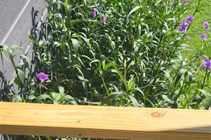 210 Fallwell St, Liberty Hill, TX 78642 - Photo 30