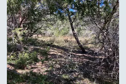 55 York Creek Road, Driftwood, TX 78619 - Photo 18