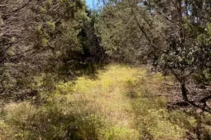 55 York Creek Rd, Driftwood, TX 78619 - Photo 1