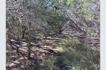 55 York Creek Road, Driftwood, TX 78619 - Photo 10