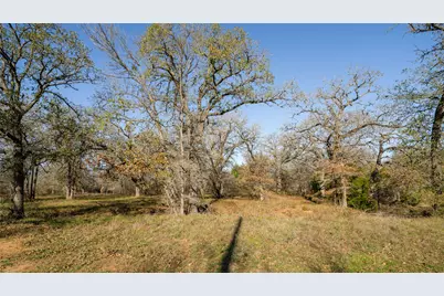 199 Azalea Court, Dale, TX 78616 - Photo 12