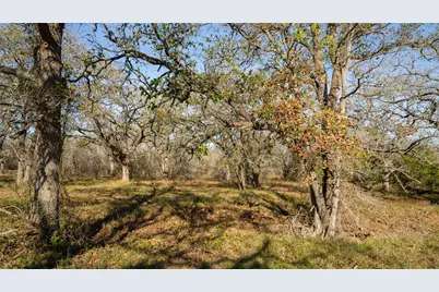 199 Azalea Court, Dale, TX 78616 - Photo 10