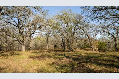 199 Azalea Court, Dale, TX 78616 - Photo 8
