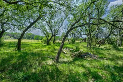 807 County Road 420, Spicewood, TX 78669 - Photo 14
