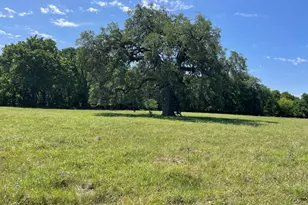 Tbd 144 45 Acres, Smithville, TX 78957 - Photo 1