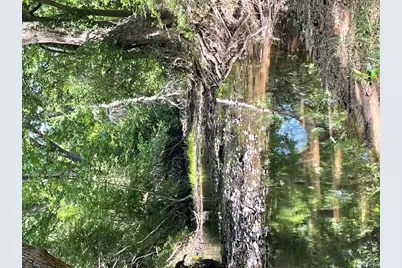 Tbd 144.45 Acres, Smithville, TX 78957 - Photo 2