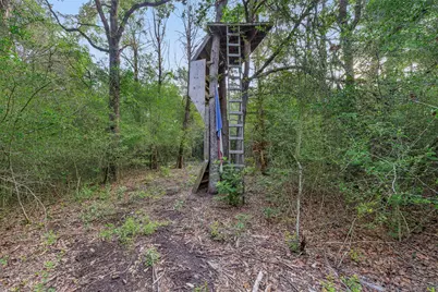 1218 County Road 436, Dime Box, TX 77853 - Photo 30
