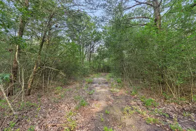 1218 County Road 436, Dime Box, TX 77853 - Photo 28