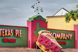 285 Prickly Poppy Loop, Kyle, TX 78640 - Photo 36