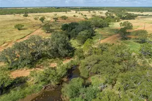 560 PR Goose Creek Ln, Jourdanton, TX 78026 - Photo 8