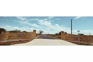 560 PR Goose Creek Ln, Jourdanton, TX 78026 - Photo 4