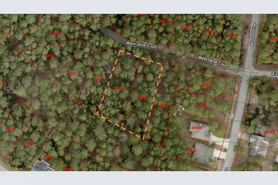 Tbd Okoe Court W, Bastrop, TX 78602 - Photo 1